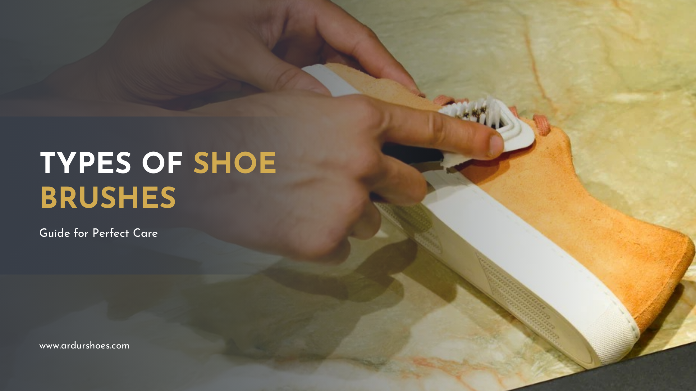 Types of Shoe Brushes: Guide for Perfect Care